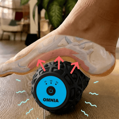 OMNIA®- Motion Roller